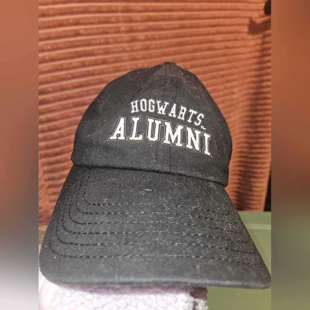 Harry potter hat
